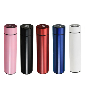 Stainless Steel Temperature Bottle (500ml)