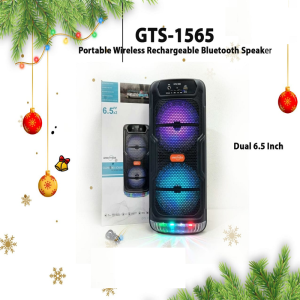 GTS-1565 Dual 6.5 inch Portable Bluetooth Speaker