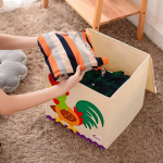 Toy Box Organizer