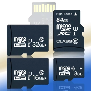 4 GB Micro SD Flash Card