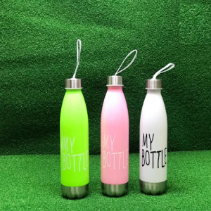 Steel My Bottle WaterBottle (750ml)