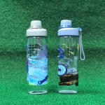 Travel Sport WaterBottle (750ml)