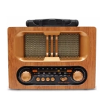 NS-6638BT Fm Radio & Bluetooth Speaker