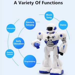 Intelligent Battery Robot