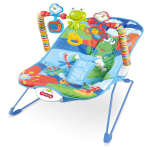Bouncer Rocker Chair
