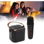Y1 Wireless Karaoke Speaker