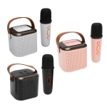 Y1 Wireless Karaoke Speaker