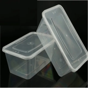 10 Pcs Disposable Food Storage Box