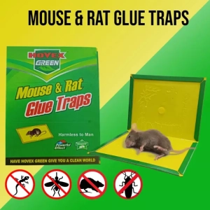 1 Pc Rat & Mouse Sticky Trap