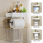Luxurious Wall Mounted Tissue Dispenser