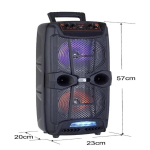 KTS-1743 Karaoke Bluetooth Speaker with Remote