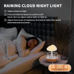 Rain Cloud Humidifier