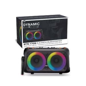 BTS-1709 Bass Portable Subwoofer