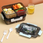 Transparent Pintian Lunch Box