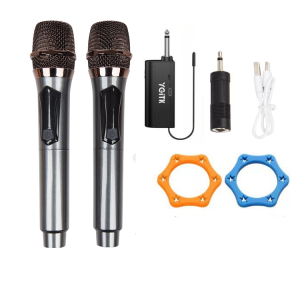 BT-M30 Dual Wireless Microphone