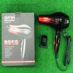 Gemei 1719 Hair Dryer