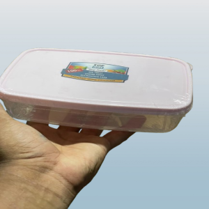 Rectangular Airtight Food Lunch Box - DT - FT 1001