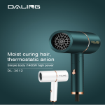 Daling High Power Hair Dryer DL-3012