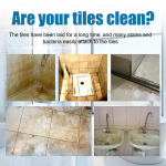 Jue-Fish Tile Cleaner