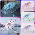 Transparent Flower Design Umbrella
