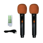 Brodu BTS-1989 Bluetooth Karaoke 22 Inch Speaker