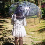 Large Transparent Umbrella