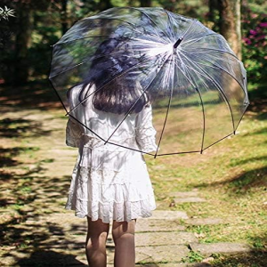 Large Transparent Umbrella