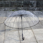 Large Transparent Umbrella