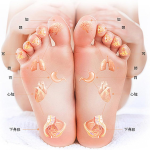 Reflexology Massage Socks With Tool
