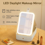Portable LED Lighted Makeup Mirror & Organizer