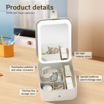 Portable LED Lighted Makeup Mirror & Organizer