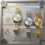 Citizen Two-Tone Classic Mens Watch
