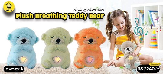 Homepage middle 1